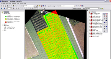 Mappa_NDVI_vigneto