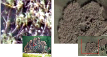 monitoraggio_ambientale